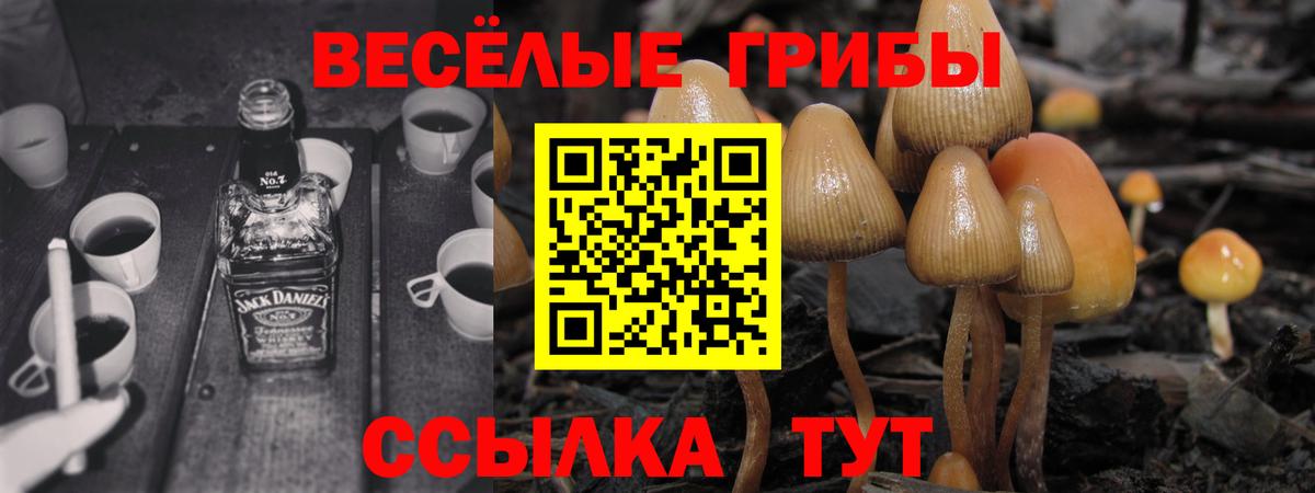 Галлюциногенные грибы Magic Shrooms  Вход с VPN  Семёнов 